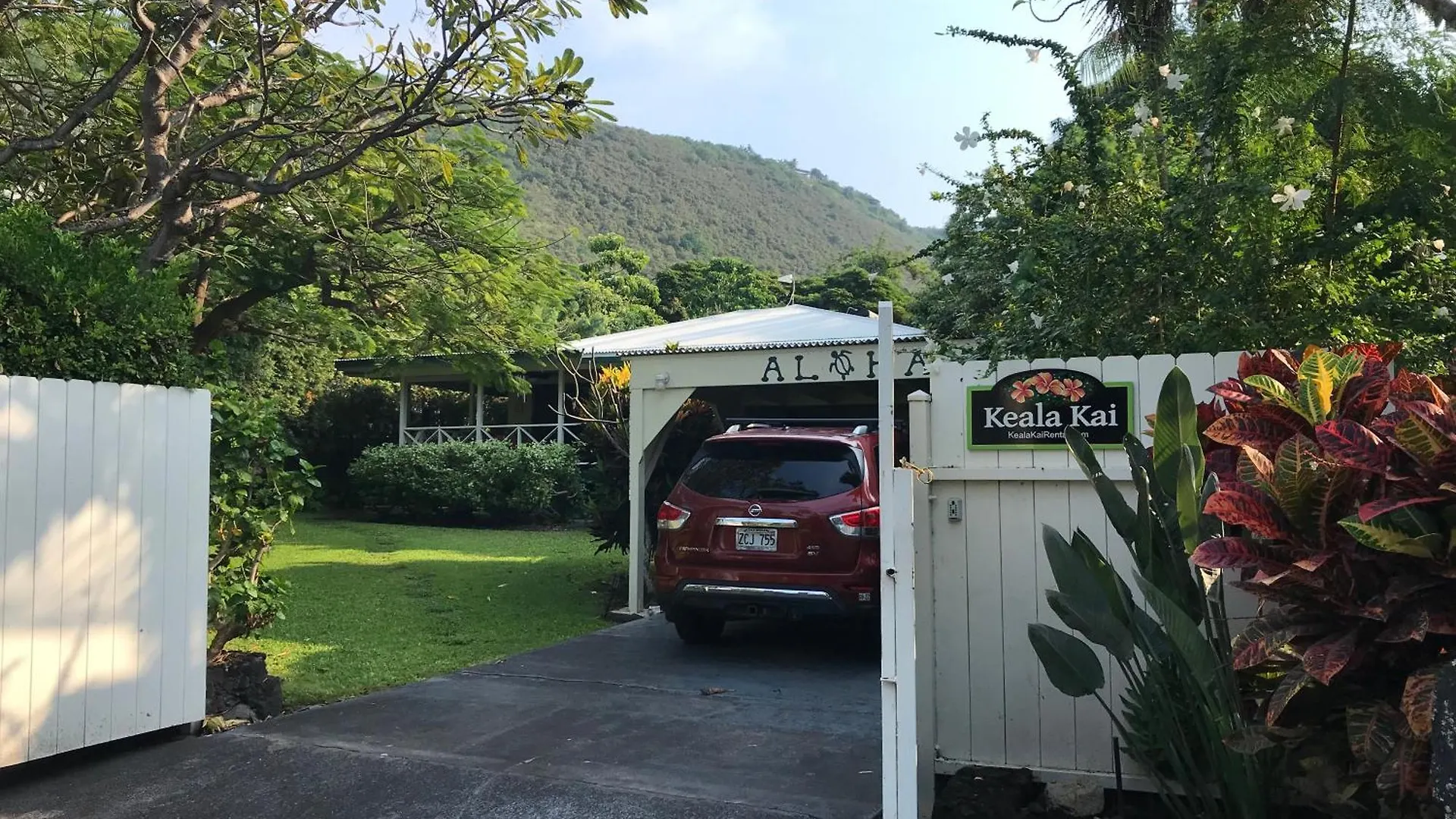 Eco-Friendly Sanctuary On Kealakekua Bay. Charming Hawaiian Style With Air Con Captain Cook Verenigde Staten